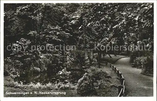 Schwenningen Neckar Neckarursprung / Villingen-Schwenningen /Schwarzwald-Baar-Kreis LKR