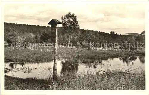 Schwenningen Neckar Neckarursprung im Schwenninger Moos / Villingen-Schwenningen /Schwarzwald-Baar-Kreis LKR