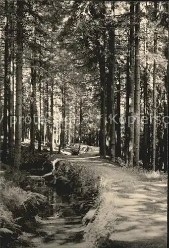 Altenberg Erzgebirge Bergstadt Am Aschergraben Kat. Geising