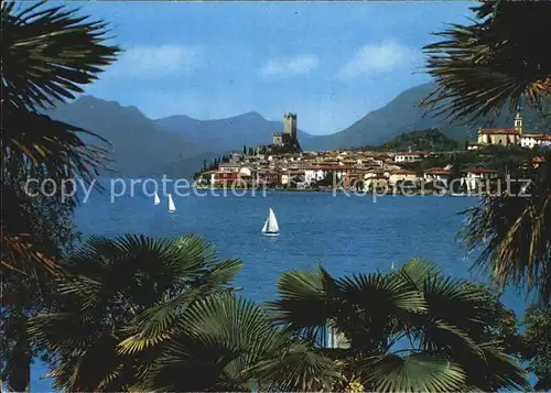 Malcesine Lago di Garda Gardasee Segelboote Schloss Kat. Malcesine