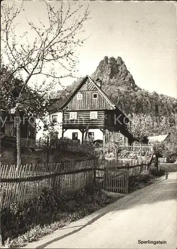 Wuerzburg Sperlingstein im Elbetal Kat. Wuerzburg