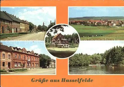 Hasselfelde Breite Str Panorama FDGB Erholungsheime Tannenwald und Zur Krone Gondelteich Kat. Hasselfelde