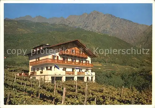 Algund Merano Gasthof Pension Moser Kat. Italien