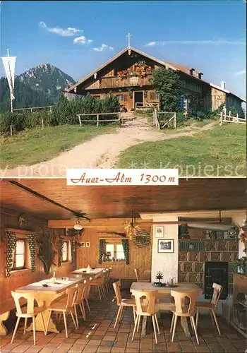Auer Alm Berggasthof Gaststube