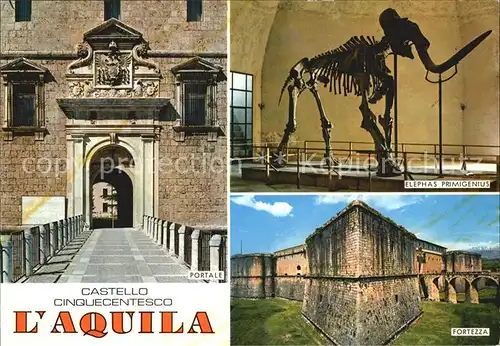 L Aquila Castello Cinquecentesco Partale Fortezza Elephas Primigenius Kat. L Aquila