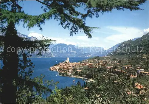 Malcesine Lago di Garda Gesamtansicht Kat. Malcesine