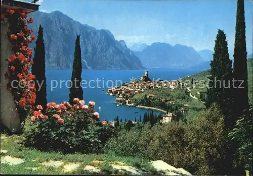 Malcesine Lago di Garda Gesamtansicht Kat. Malcesine