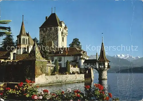 Thunersee Schloss Oberhofen Bluemlisalp Kat. Thun