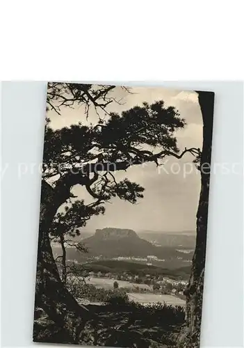 Gohrisch Panorama Blick zum Lilienstein Tafelberg Elbsandsteingebirge Kat. Gohrisch