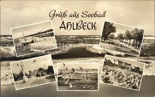 Ahlbeck Ostseebad Strand Promenade Brandung Moewen Kat. Heringsdorf Insel Usedom