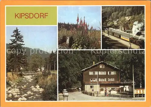 Kipsdorf Rote Weisseritz Digitalis Schmalspurbahn Bunte Truhe Kat. Altenberg