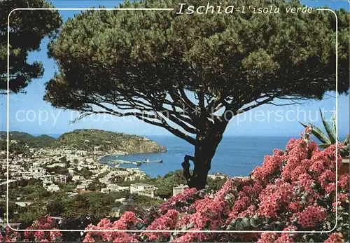 Lacco Ameno Veduta panoramica da Villa Parodi Kat. Ischia Insel Golfo di Napoli