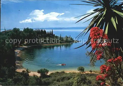 San Vigilio Lago di Garda Kat. Punta San Vigilio Lago di Garda