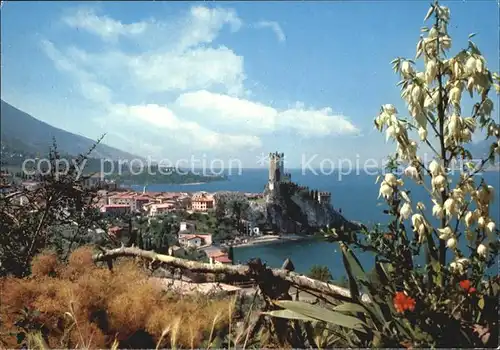 Malcesine Lago di Garda Panorama Kat. Malcesine