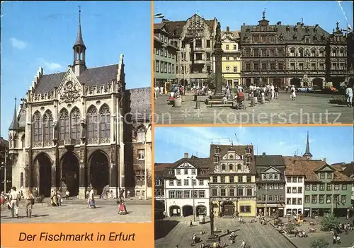 Erfurt Fischmarkt Rathaus Haus zum Breiten Herd Roten Ochsen Kat. Erfurt