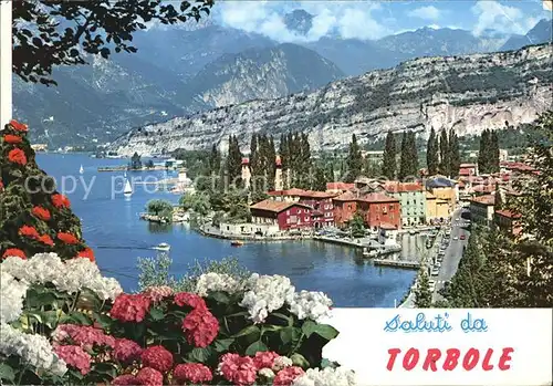Torbole Lago di Garda See Panorama Kat. Italien