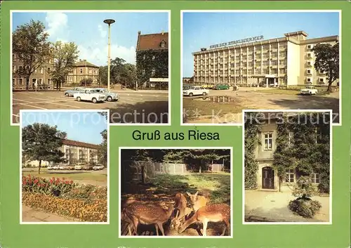 Riesa Sachsen Leninplatz Tierpark Rathaus Greifswalder Strasse  Kat. Riesa