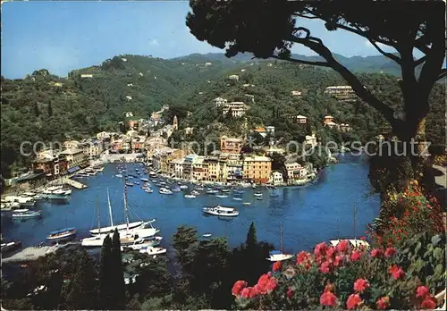 Portofino Liguria Stadtansicht Kat. Portofino