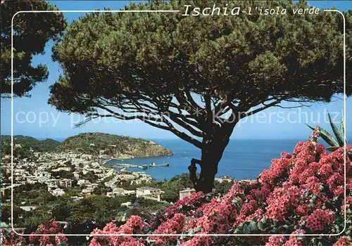 Lacco Ameno Panorama Kat. Ischia Insel Golfo di Napoli