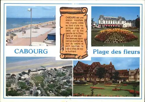 Cabourg Plage des fleurs Fliegeraufnahme Kat. Cabourg