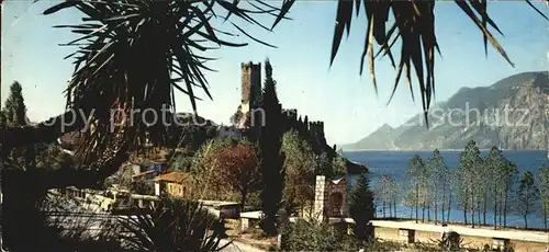 Malcesine Lago di Garda Schloss unter den Palmen Kat. Malcesine