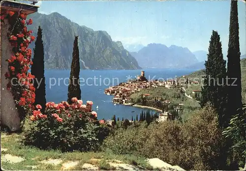 Malcesine Lago di Garda Gesamtansicht Kat. Malcesine