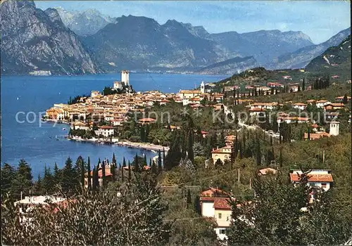 Malcesine Lago di Garda Gesamtansicht Kat. Malcesine