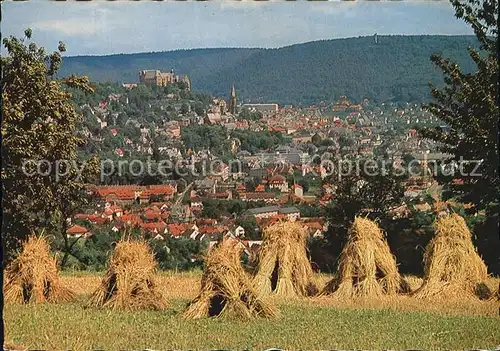 Marburg Lahn Gesamtansicht mit dem Schloss Kat. Marburg