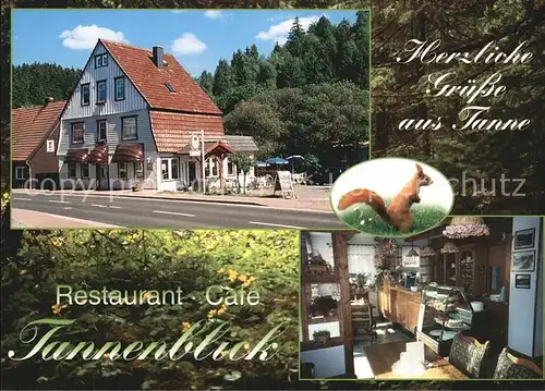 Tanne Harz Restaurant Cafe zum Tannenblick Kat. Tanne Harz