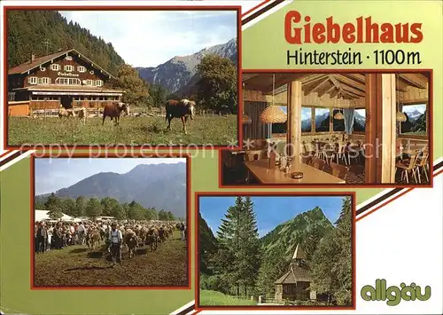 Hinterstein Bad Hindelang  Berggasthaus Giebelhaus Kirche Viehtrieb / Bad Hindelang /Oberallgaeu LKR