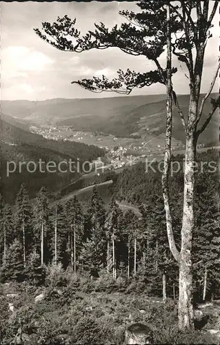 Obertal Baiersbronn Panorama Kat. Baiersbronn