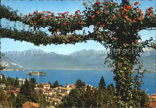 Lago Maggiore Panorama  Kat. Italien