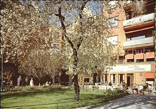 Stockholm Centralbadet Baumbluete Kat. Stockholm