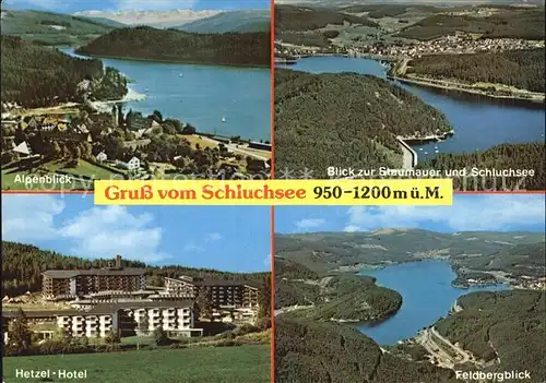 Schluchsee Panorama Alpenblick Staumauer Feldberg Hetzel Hotel Schwarzwald Kat. Schluchsee