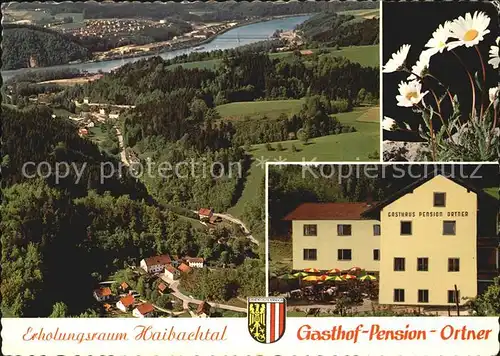 Haibach Schaerding Gasthof Pension Ortner Erholungsort Haibachtal Blumen