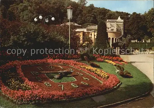 Baden Wien Kurpark Blumenuhr Kurstadt Kongressstadt Kat. Baden