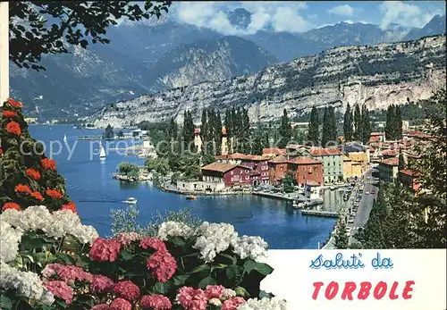 Torbole Lago di Garda Panorama Gardasee Alpen Blumen Kat. Italien