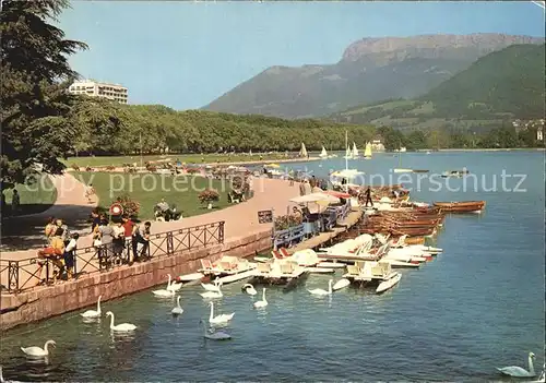 Annecy Haute Savoie Les bords du Lac les Cygnes et le Parmelan Promenade Anleger Schwaene Kat. Annecy