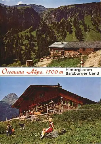 Hinterglemm Saalbach Ossmann Alpe