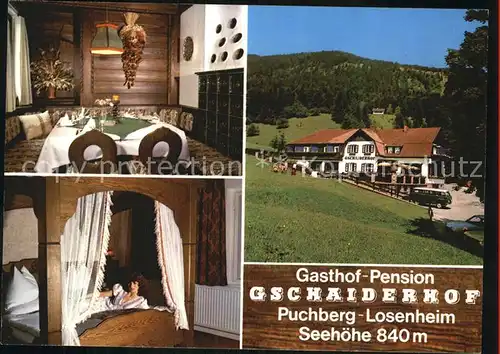 Puchberg Schneeberg Losenheim Gasthaus Pension Gschaiderhof Kat. Puchberg am Schneeberg