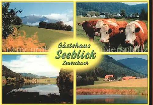 Zeutschach Gaestehaus Seeblick Kat. Zeutschach