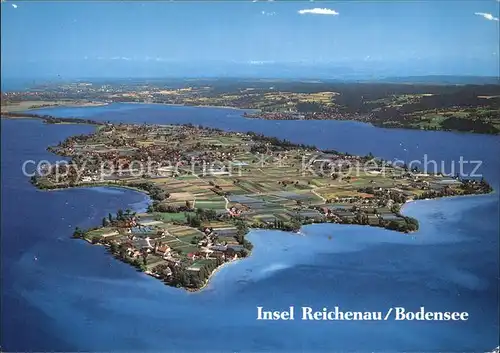 Insel Reichenau Bodensee Fliegeraufnahme Kat. Reichenau Bodensee