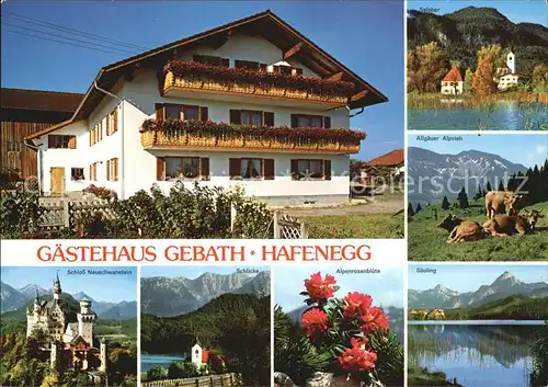 Hopferau Gaestehaus Gebath Hafenegg Schloss Neuschwanstein Allgaeuer Alpvieh Schlicke Alpenrosenbluete Saeuling Kat. Hopferau