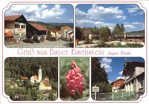 Bayerisch Eisenstein Teilansichten Luftkurort Bayerischer Wald Pflanze Fingerhut Kat. Bayerisch Eisenstein