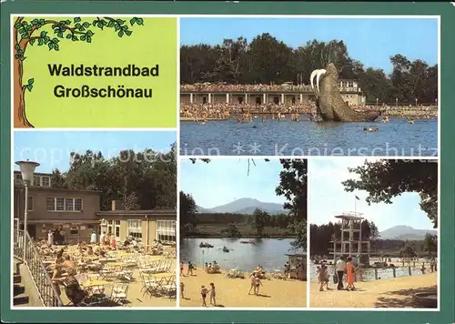 Grossschoenau Sachsen Waldstrandbad Gaststaette Strand Seeloewenskulptur Kat. Grossschoenau Sachsen