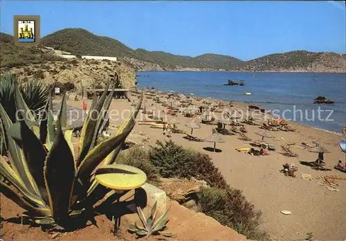 San Carlos Ibiza Es Figueral Playa Strand