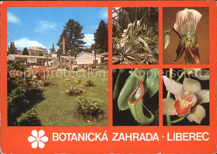 Liberec Botanicka Zahrada Botanischer Garten Blumen Frauenschuh