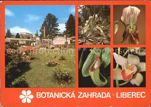 Liberec Botanicka Zahrada Botanischer Garten Blumen Frauenschuh Kat. Liberec