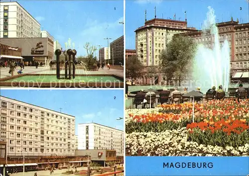 Magdeburg Karl Marx Strasse Wilhelm Pieck Allee Brunnen Fontaene Kat. Magdeburg