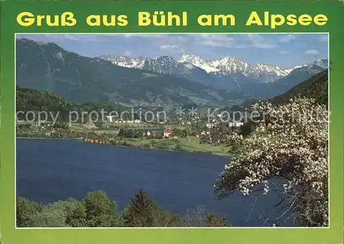 Buehl Alpsee Grosser Alpsee Alpenpanorama Baumbluete Kat. Immenstadt i.Allgaeu